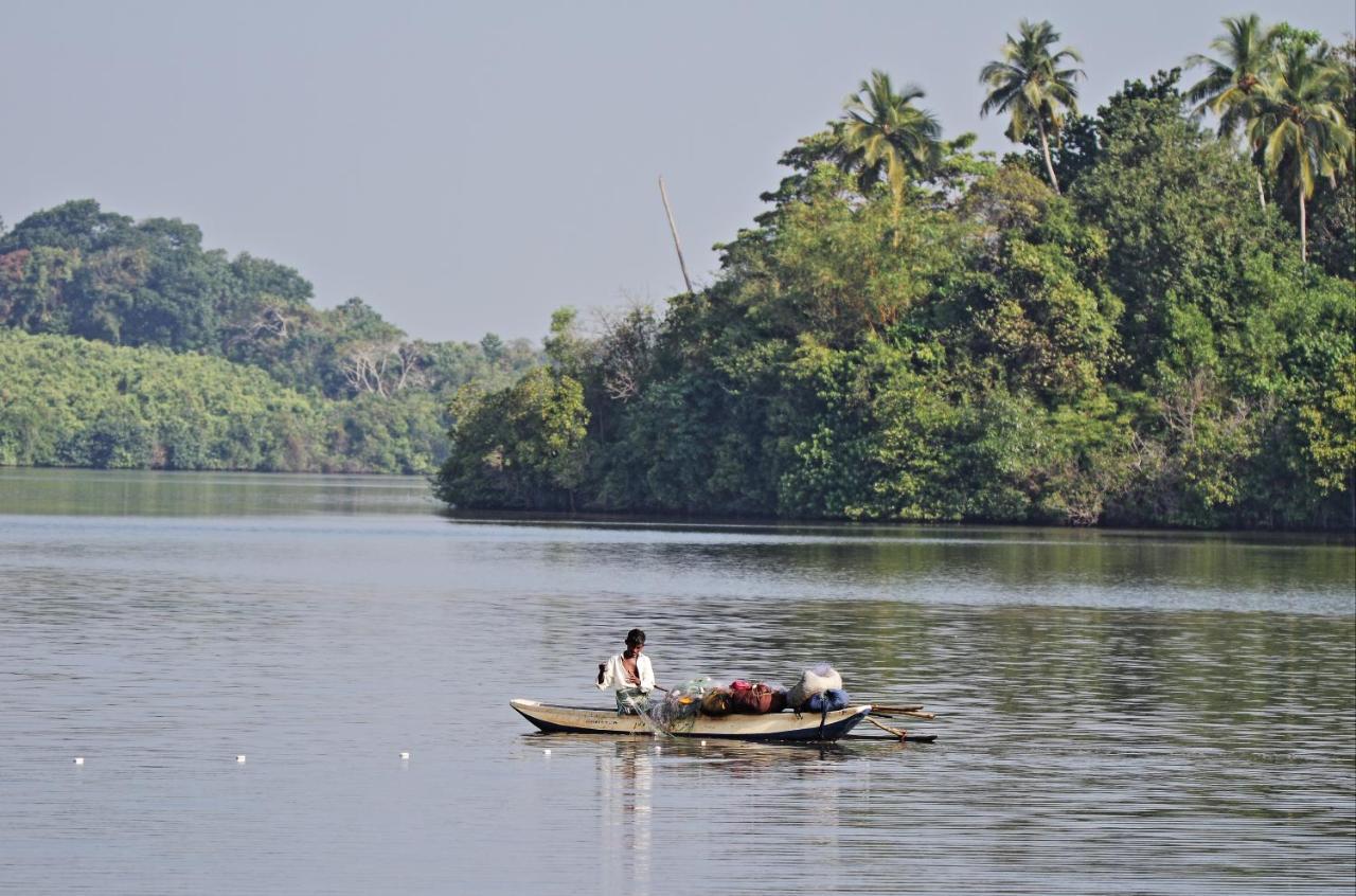 Lavanga Beach Hikkaduwa Exterior photo